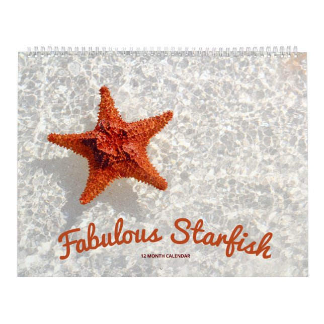 Fabulous Starfish Kalender (Titelbild)