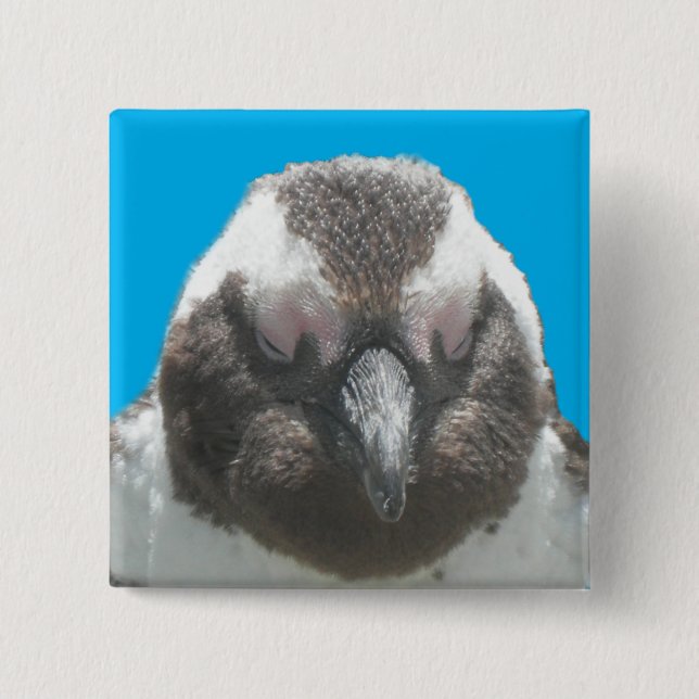 Face Button in South African Penguin (Vorderseite)