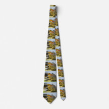 Face to face neck tie