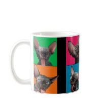 Facebuilding (Sphynx Kätzchen)