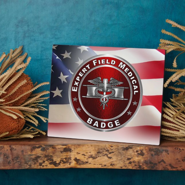 Fachmedizinisches Abzeichen (EFMB) Fotoplatte (Seite)