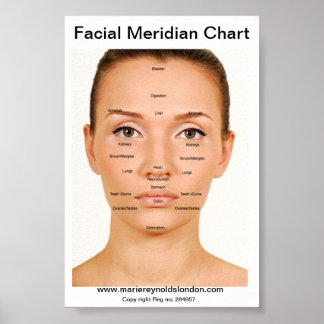 Facial Meridian Chart Poster