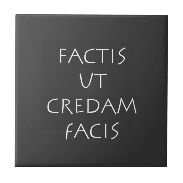 Factis la credam facis fliese (Vorderseite)