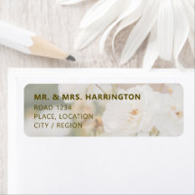 Faded White Rose Photo Background Elegant Wedding