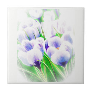 Fading Crocus TI Fliese