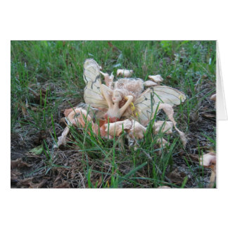 FaerieCard - Helfen Sie einem mit Behinderung heid