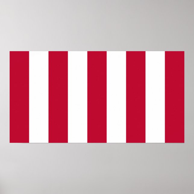 Fahne der US-Söhne mit 9 Streifen Poster (Vorne)