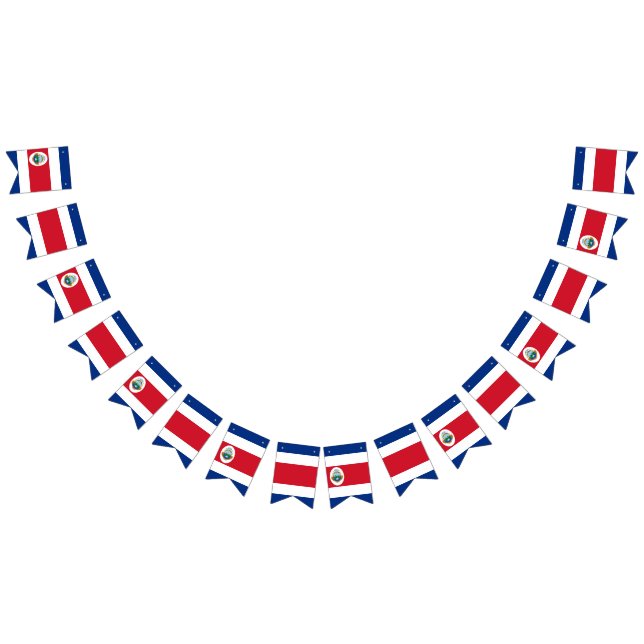 Fahnenbanner Wimpelkette (Alle)