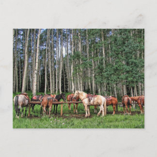 Fahrbereit Postkarte