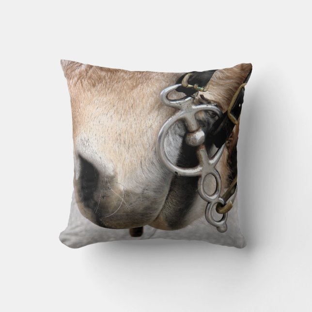 Fahrbit Kissen (Vorderseite)