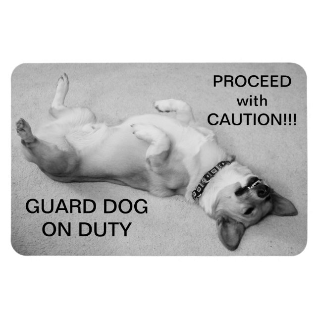 Fahren Sie mit Vorsicht fort Magnet (Horizontal)