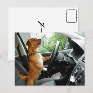 Fahrerlaubnis-Gratulationskarte Postkarte