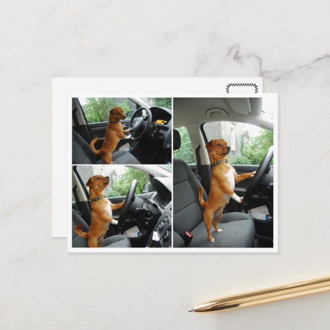 Fahrerlaubnis-Gratulationskarte Postkarte (Vorderseite/Rückseite Beispiel)