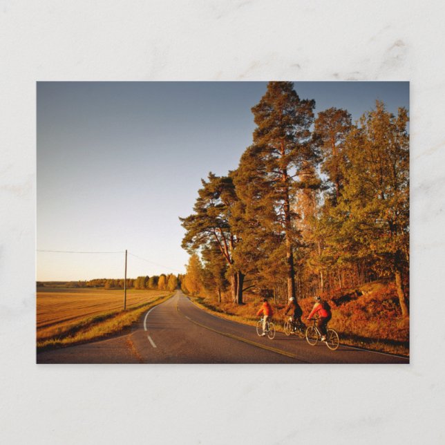 Fahrrad 3 postkarte (Vorderseite)