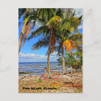 Fahrrad am Strand - Pine Island Florida Postkarte