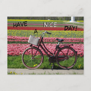 Fahrrad auf dem Tulips-Feld haben einen schönen Ta Postkarte