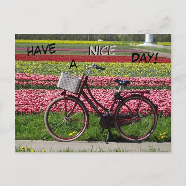 Fahrrad auf dem Tulips-Feld haben einen schönen Ta Postkarte (Vorderseite)