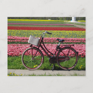 Fahrrad bei Tulips Field DIY Postkarte