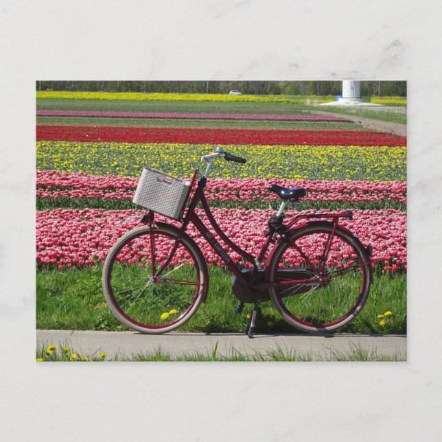 Fahrrad bei Tulips Field DIY Postkarte (Vorderseite)