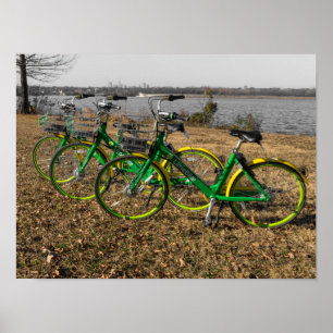 Fahrrad-Drillinge Poster
