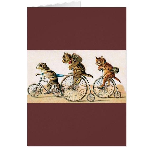 Fahrrad-Fahrt (Vorne)