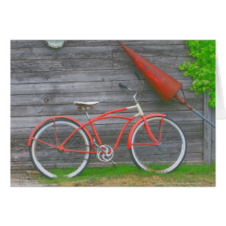 Fahrrad in Leland