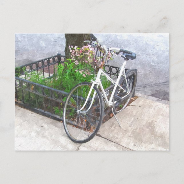 FAHRRAD MIT BASKET DER BLUME POSTCARD POSTKARTE (Vorderseite)