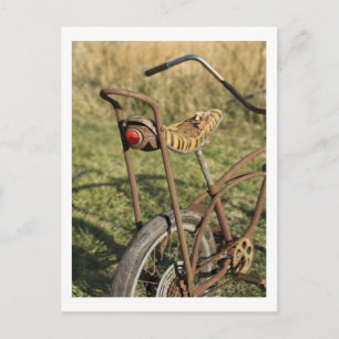 Fahrrad Radfahren Fahrradfahren Radfahren Banane C Postkarte