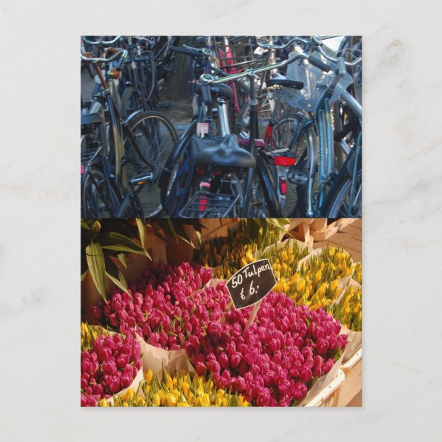 Fahrräder Postkarte (Vorderseite)
