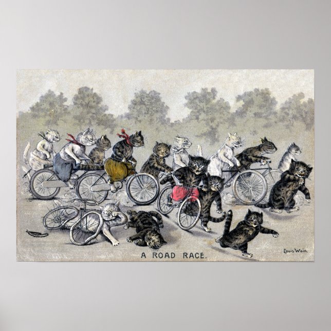 Fahrradfahrer Katzen Poster (Vorne)