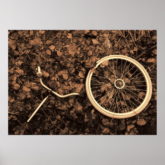 Fahrradteile mit Herbstlaub Poster (Vorne)