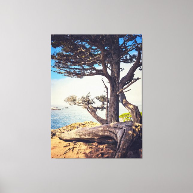 Fahrradweg am Meer Leinwanddruck (Vorderseite)