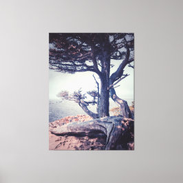 Fahrradweg am Meer Leinwanddruck