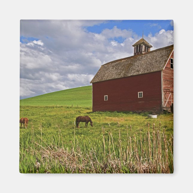 Fahrt durch das Landgut Palouse 3 Magnet (Vorne)
