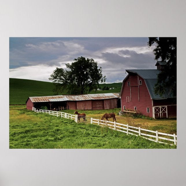 Fahrt durch das Landgut Palouse 3 Poster (Vorne)