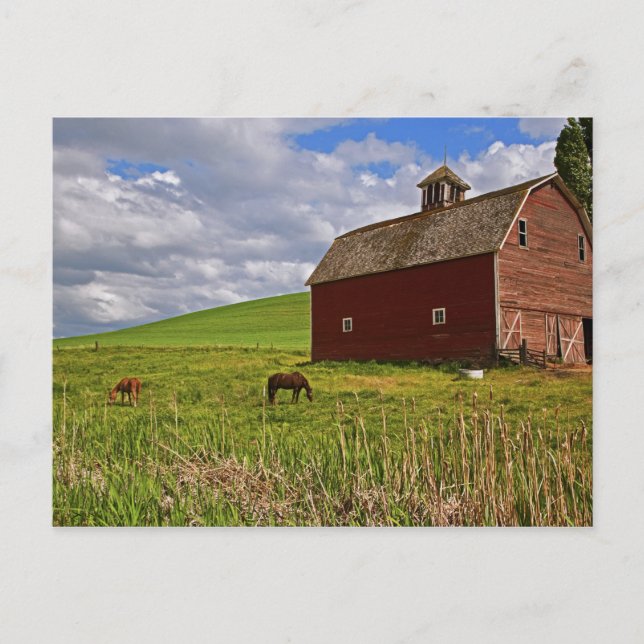 Fahrt durch das Landgut Palouse 3 Postkarte (Vorderseite)