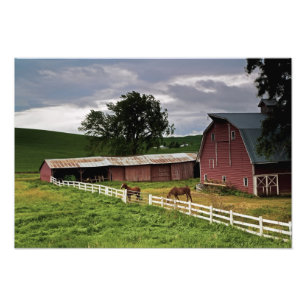 Fahrt durch das Landgut Palouse 4 Fotodruck