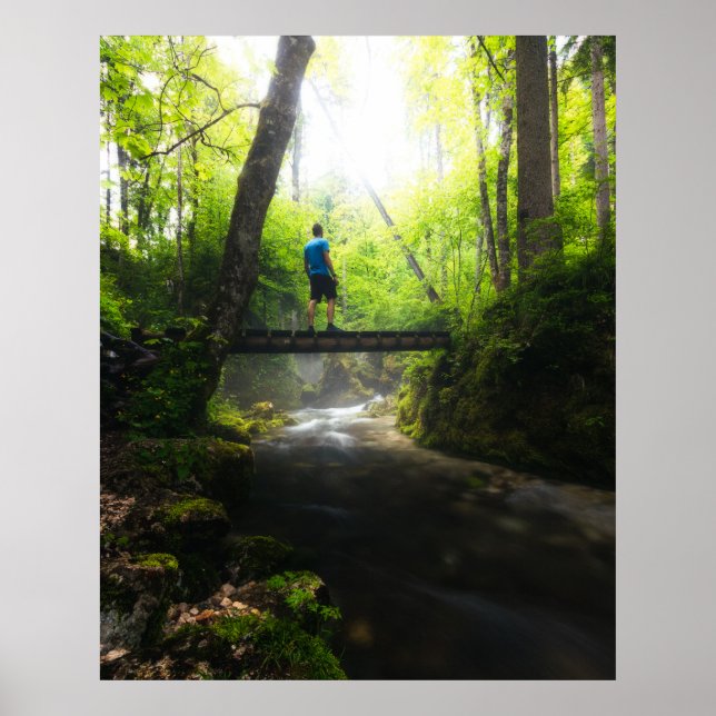 Fahrt durch den magischen Wald Poster (Vorne)