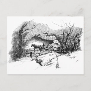 Fahrt durch den Zentralpark Postkarte