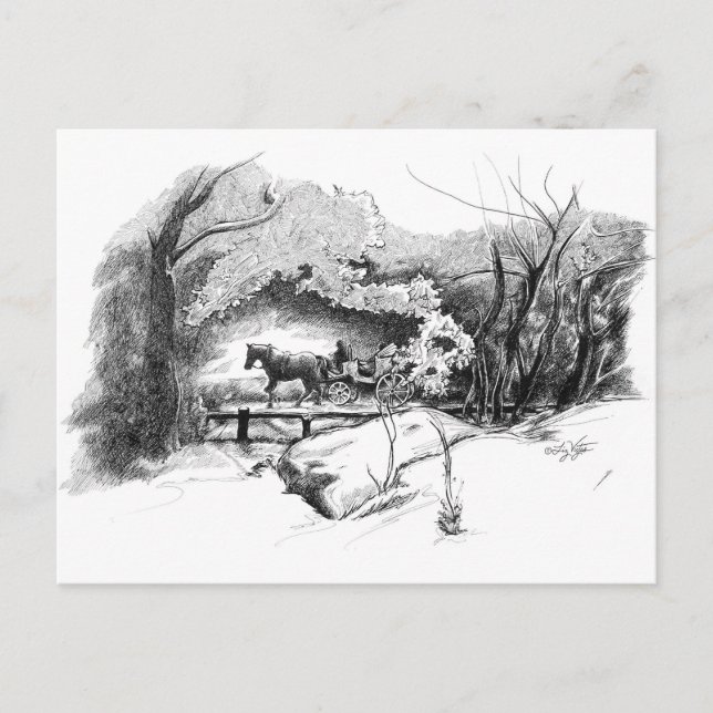 Fahrt durch den Zentralpark Postkarte (Vorderseite)