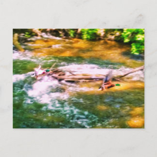 FAHRZEUG POSTKARTE