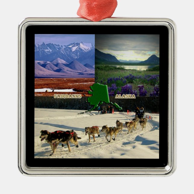 Fairbanks, Alaska Collage Silbernes Ornament (Vorne)