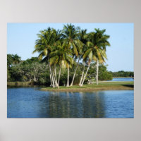 Fairchild Tropical Botanical Gardens