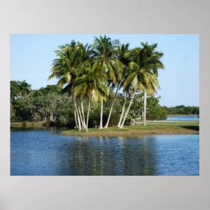 Fairchild Tropical Botanical Gardens Poster