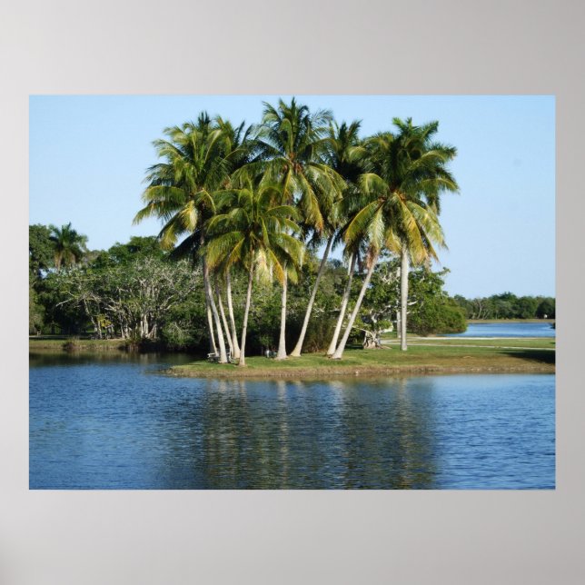 Fairchild Tropical Botanical Gardens Poster (Vorne)