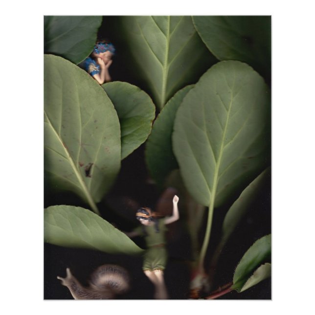 Fairies 7 poster (Vorderseite)