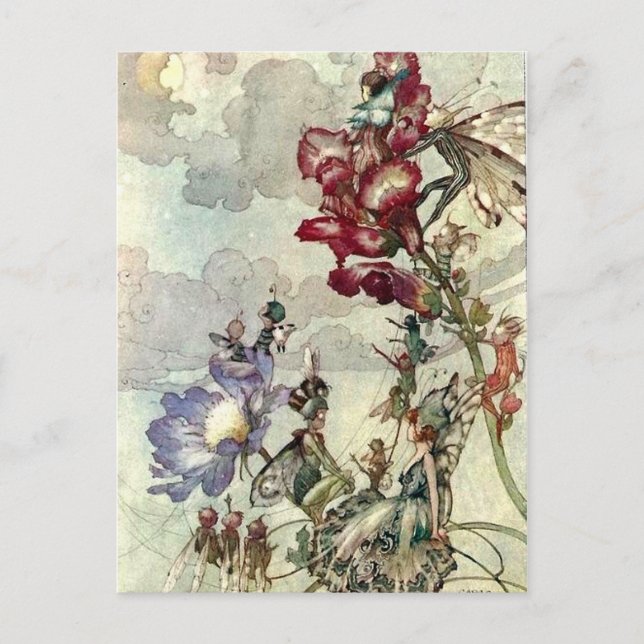 "Fairies" Postkarte (Vorderseite)