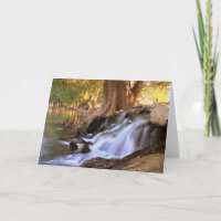 Fairmount Park - Flussufer