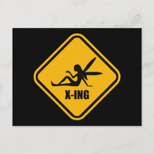 Fairy Crossing Street Sign Postkarte