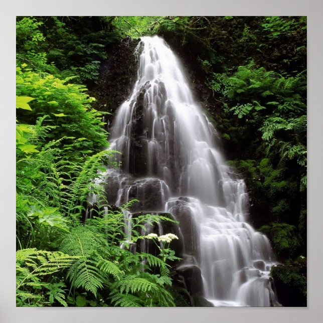 Fairy Falls Poster (Vorne)